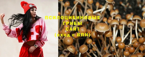 кристаллы Бородино
