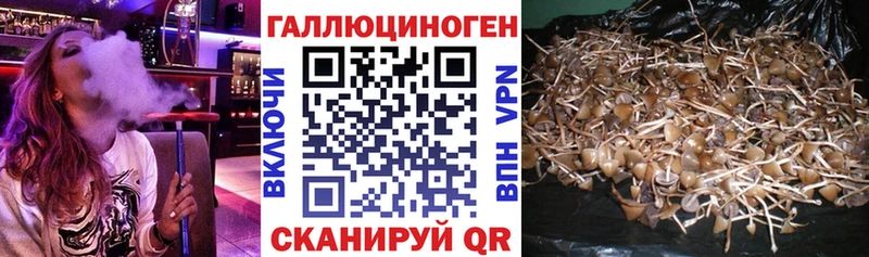 Галлюциногенные грибы прущие грибы  сколько стоит  Гаврилов-Ям 
